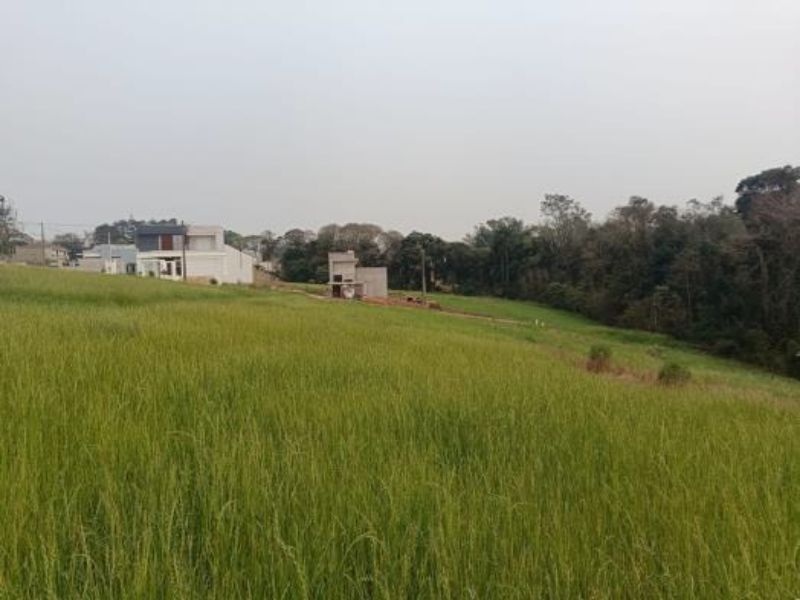 Terreno Urbano em Não-Me-Toque/RS, localizado em Não-me-toque - RS