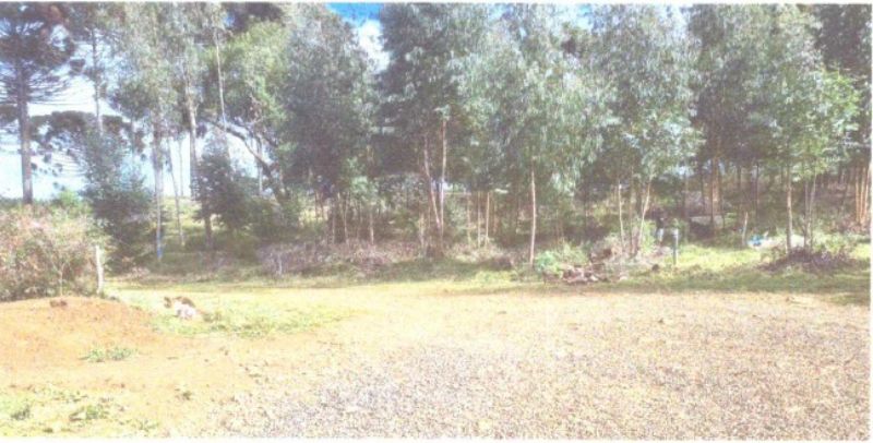 Dois terrenos rurais em Matos Costa/SC, localizado em Matos Costa - SC