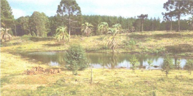 Dois terrenos rurais em Matos Costa/SC, localizado em Matos Costa - SC