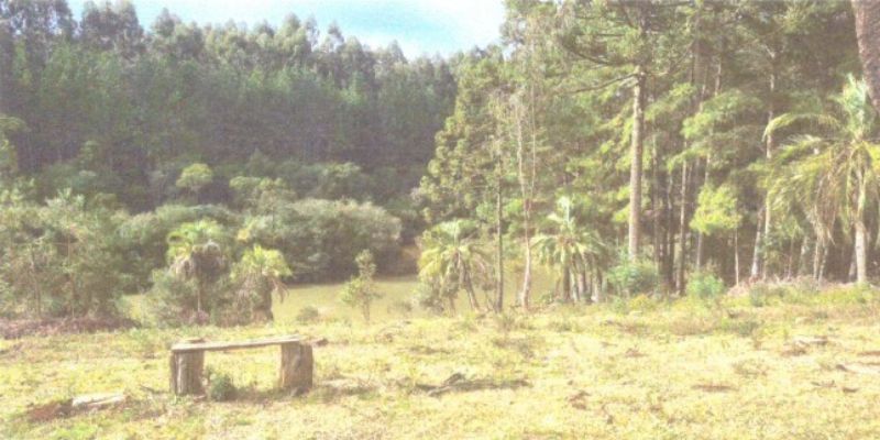 Dois terrenos rurais em Matos Costa/SC, localizado em Matos Costa - SC