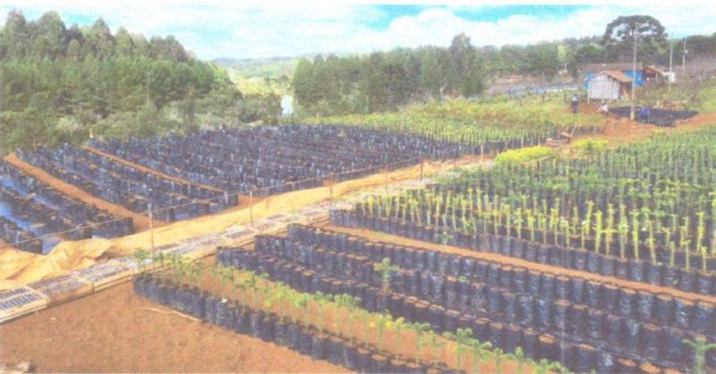 Dois terrenos rurais em Matos Costa/SC, localizado em Matos Costa - SC