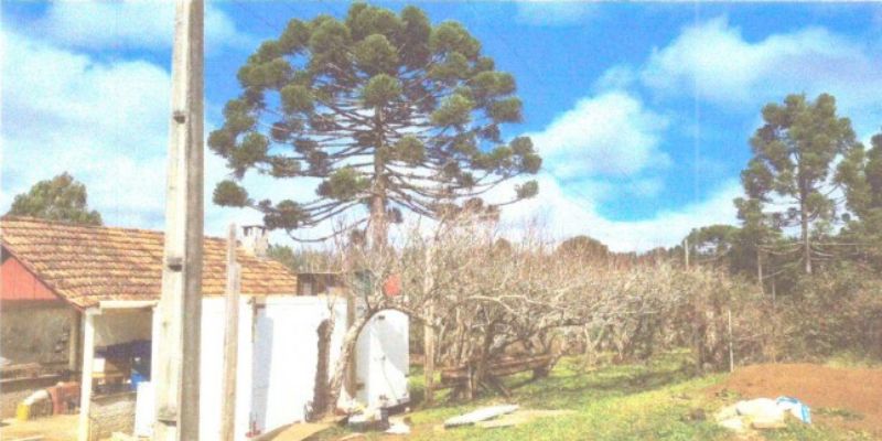 Dois terrenos rurais em Matos Costa/SC, localizado em Matos Costa - SC