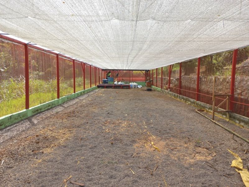 Sítio em Três Barras com 5.400m², localizado em Concórdia - SC