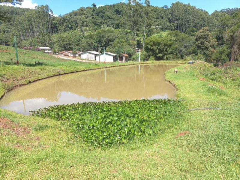 Sítio em Três Barras com 5.400m², localizado em Concórdia - SC