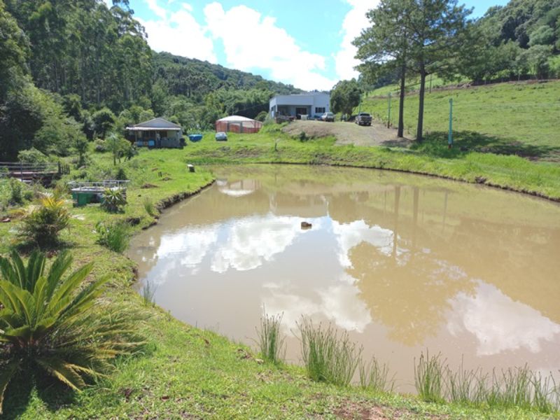 Sítio em Três Barras com 5.400m², localizado em Concórdia - SC