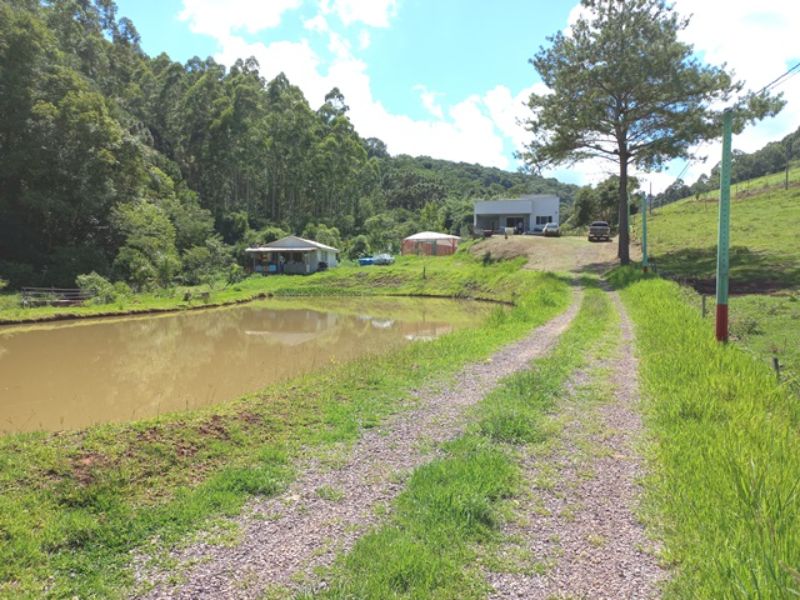 Sítio em Três Barras com 5.400m², localizado em Concórdia - SC