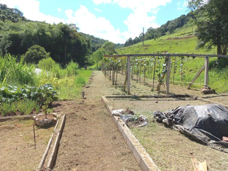 Sítio em Três Barras com 5.400m², localizado em Concórdia - SC