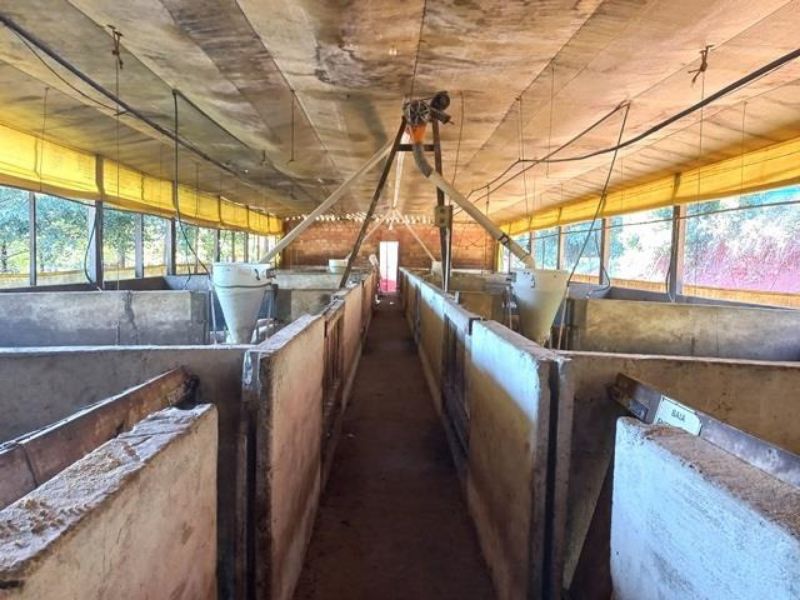 Terreno com 96.800,00m² com granja e moradias, localizado em Concórdia - SC