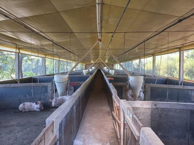 Terreno com 96.800,00m² com granja e moradias, localizado em Concórdia - SC