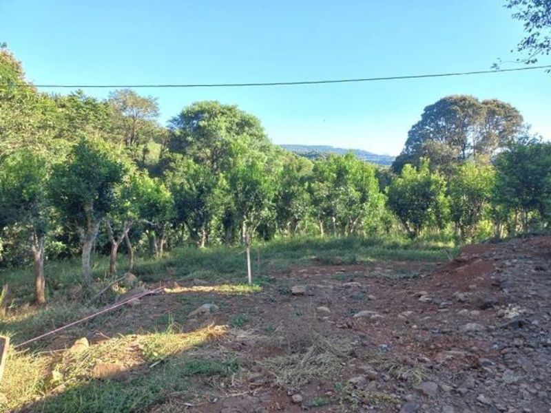 Terreno com 96.800,00m² com granja e moradias, localizado em Concórdia - SC