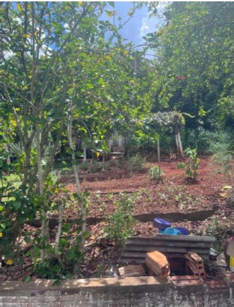 Terreno com casa em Serra Alta/SC, localizado em Serra Alta - SC