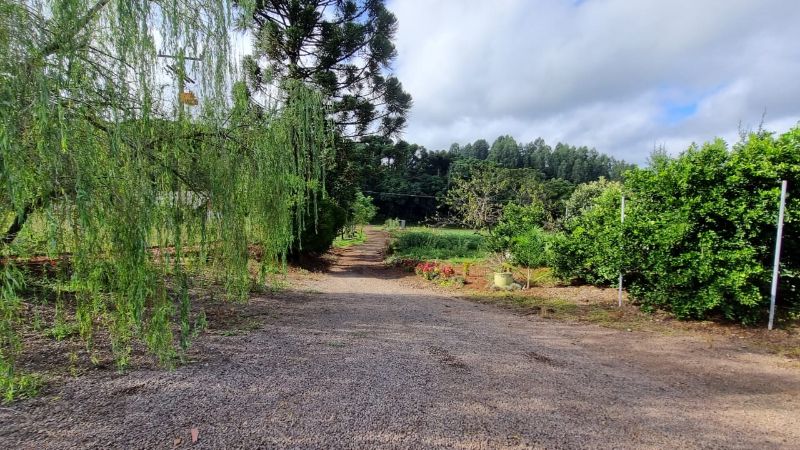 Terreno rural casas e edificações, localizado em Santa Cecília Do Sul - RS