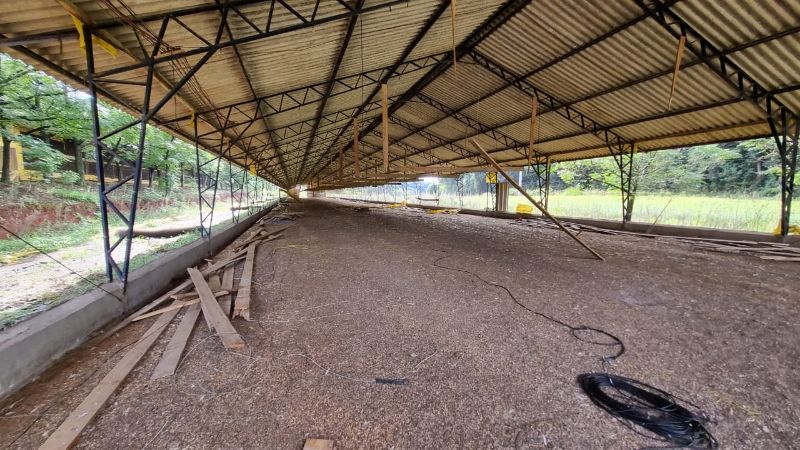 Terreno rural casas e edificações, localizado em Santa Cecília Do Sul - RS