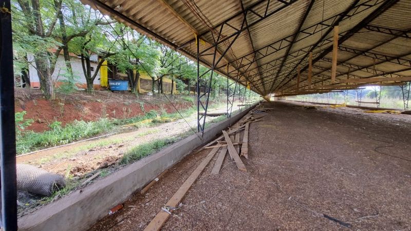 Terreno rural casas e edificações, localizado em Santa Cecília Do Sul - RS