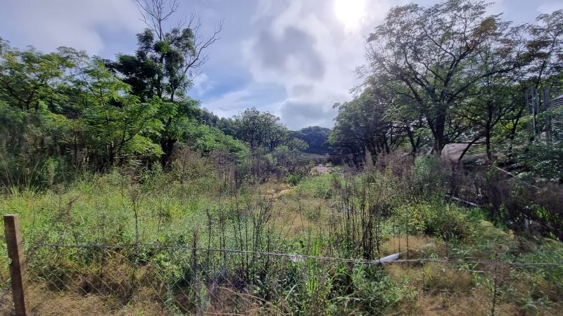 Terreno rural casas e edificações, localizado em Santa Cecília Do Sul - RS