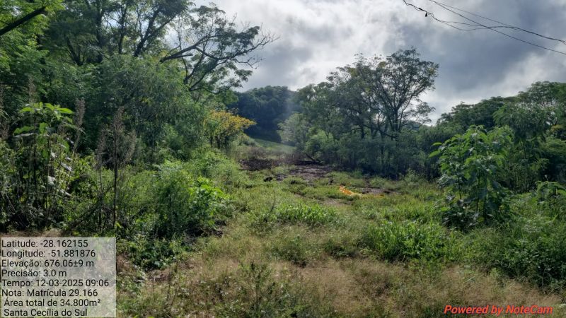 Terreno rural casas e edificações, localizado em Santa Cecília Do Sul - RS