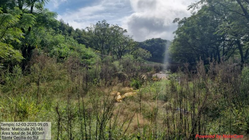 Terreno rural casas e edificações, localizado em Santa Cecília Do Sul - RS