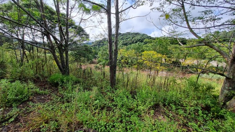 Terreno rural casas e edificações, localizado em Santa Cecília Do Sul - RS