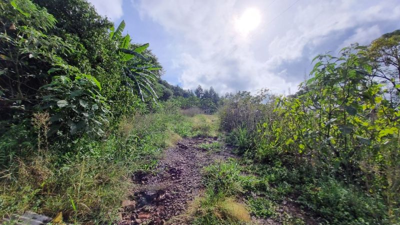 Terreno rural casas e edificações, localizado em Santa Cecília Do Sul - RS