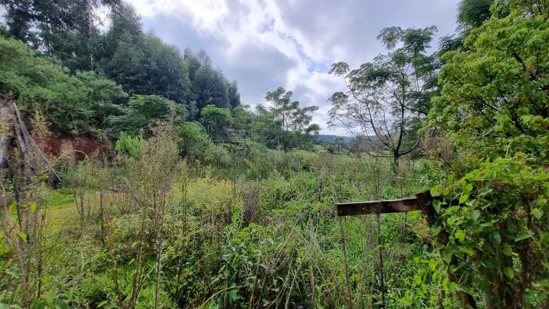 Terreno rural casas e edificações, localizado em Santa Cecília Do Sul - RS