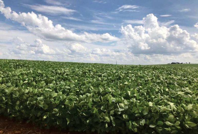 Terreno rural com área de 24.200,00m², localizado em Nonoai - RS