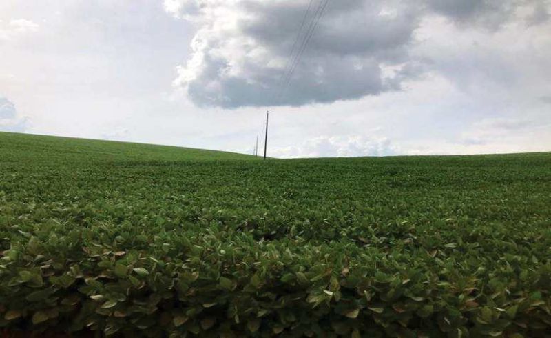 Terreno rural com área de 24.200,00m², localizado em Nonoai - RS