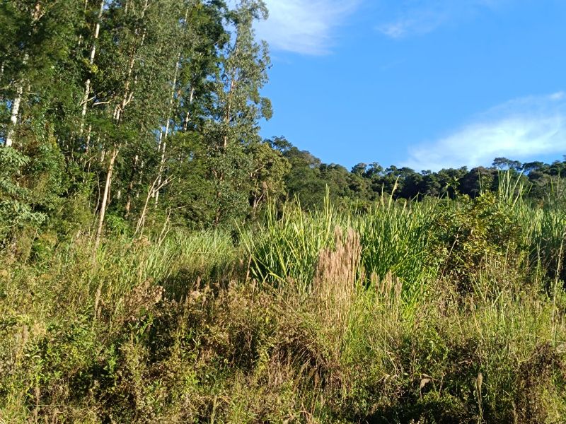 Terrenos Rurais em Itá/SC, localizado em Itá - SC