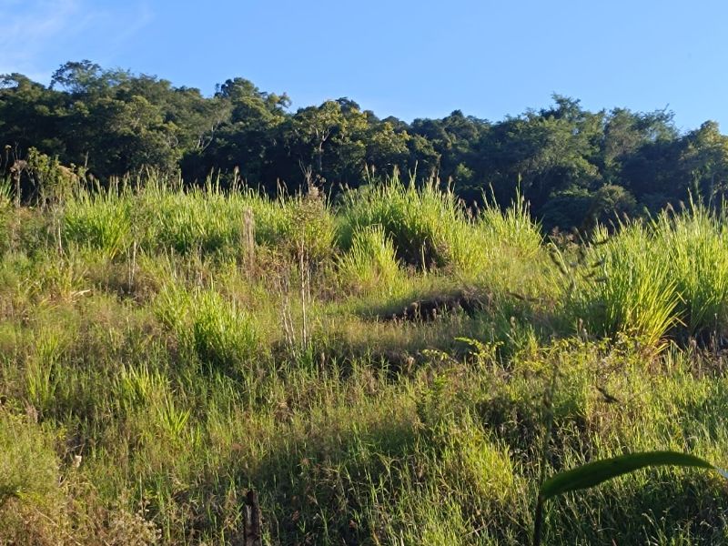 Terrenos Rurais em Itá/SC, localizado em Itá - SC