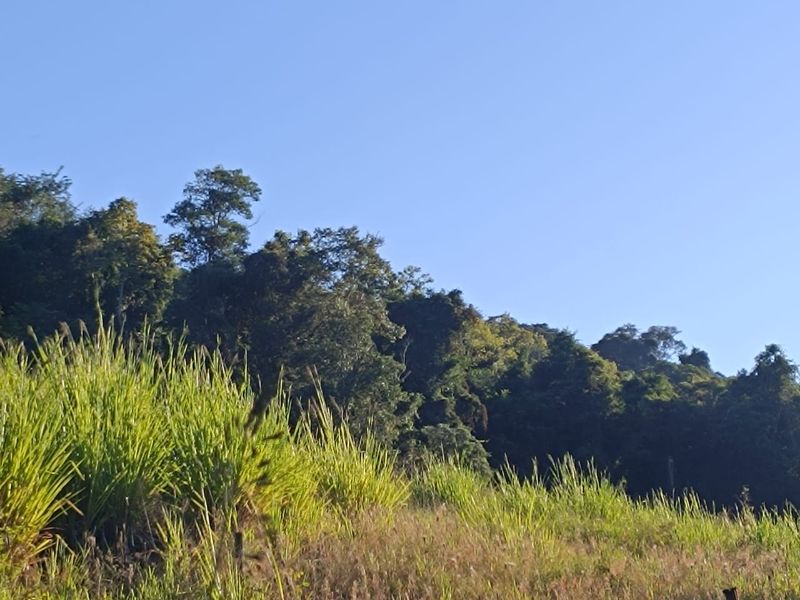 Terrenos Rurais em Itá/SC, localizado em Itá - SC