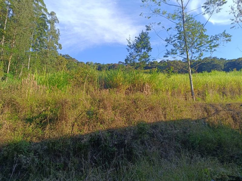 Terrenos Rurais em Itá/SC, localizado em Itá - SC