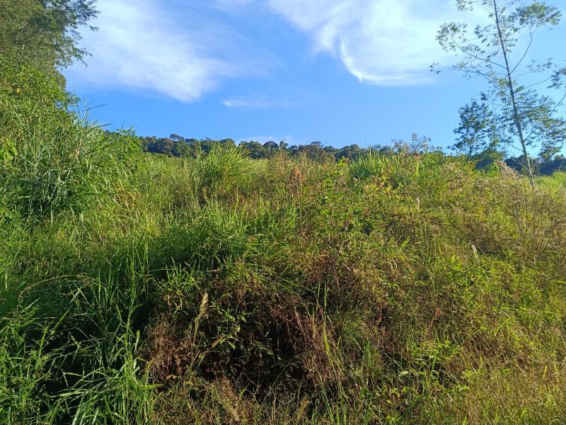 Terrenos Rurais em Itá/SC, localizado em Itá - SC