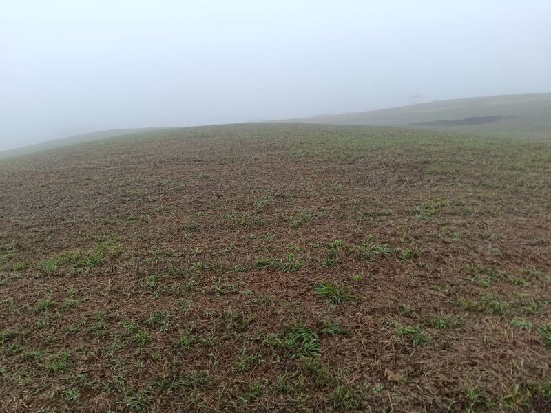Terreno em Vargem Bonita e Ponte Serrada, localizado em Vargem Bonita - SC
