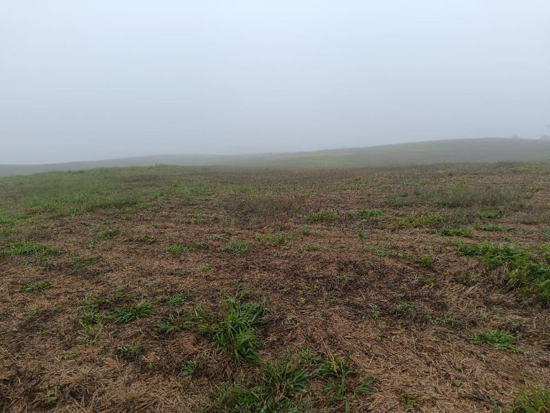 Terreno em Vargem Bonita e Ponte Serrada, localizado em Vargem Bonita - SC