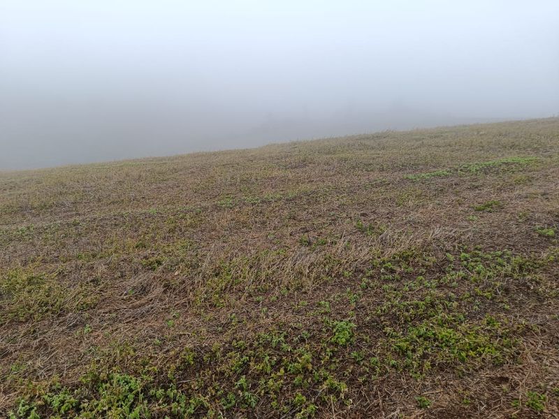 Terreno em Vargem Bonita e Ponte Serrada, localizado em Vargem Bonita - SC