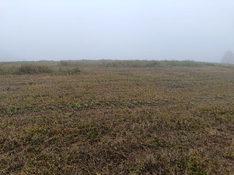 Terreno em Vargem Bonita e Ponte Serrada, localizado em Vargem Bonita - SC
