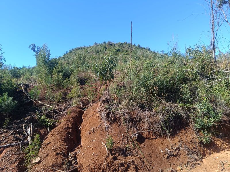 Terreno em Vargem Bonita e Ponte Serrada, localizado em Vargem Bonita - SC