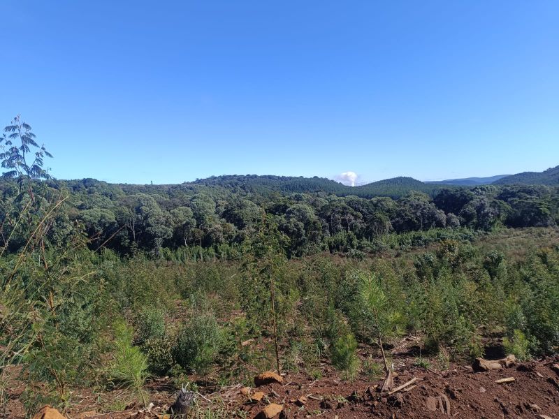 Terreno em Vargem Bonita e Ponte Serrada, localizado em Vargem Bonita - SC