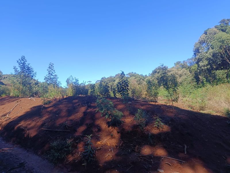 Terreno em Vargem Bonita e Ponte Serrada, localizado em Vargem Bonita - SC