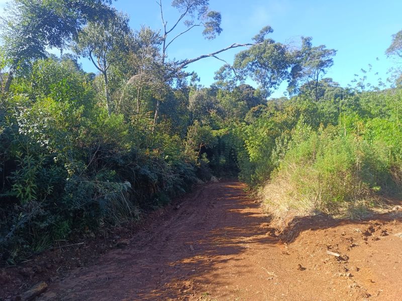 Terreno em Vargem Bonita e Ponte Serrada, localizado em Vargem Bonita - SC