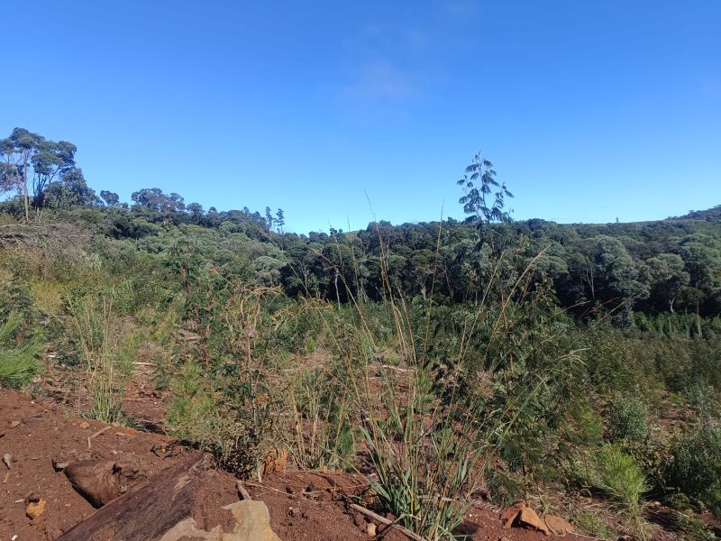 Terreno em Vargem Bonita e Ponte Serrada, localizado em Vargem Bonita - SC