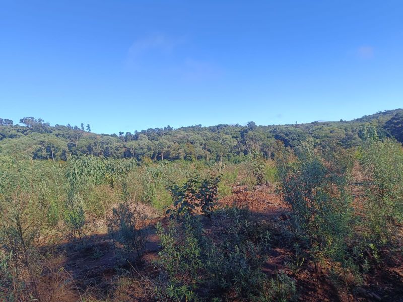 Terreno em Vargem Bonita e Ponte Serrada, localizado em Vargem Bonita - SC