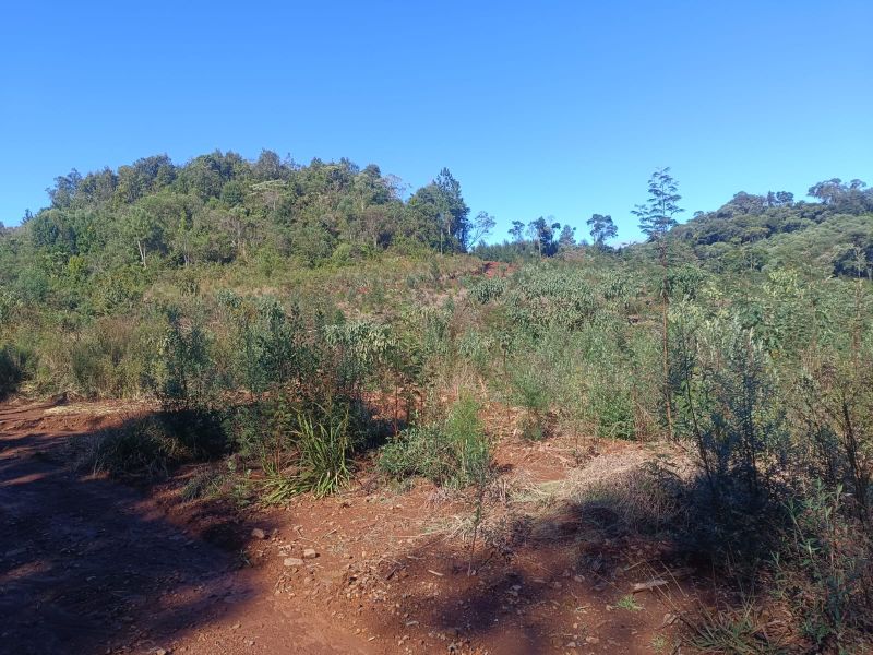 Terreno em Vargem Bonita e Ponte Serrada, localizado em Vargem Bonita - SC
