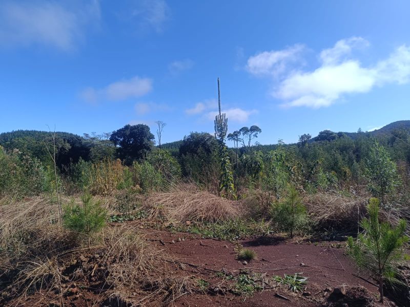 Terreno em Vargem Bonita e Ponte Serrada, localizado em Vargem Bonita - SC