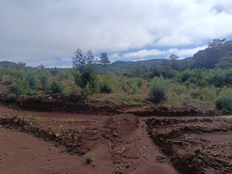 Terreno em Vargem Bonita e Ponte Serrada, localizado em Vargem Bonita - SC