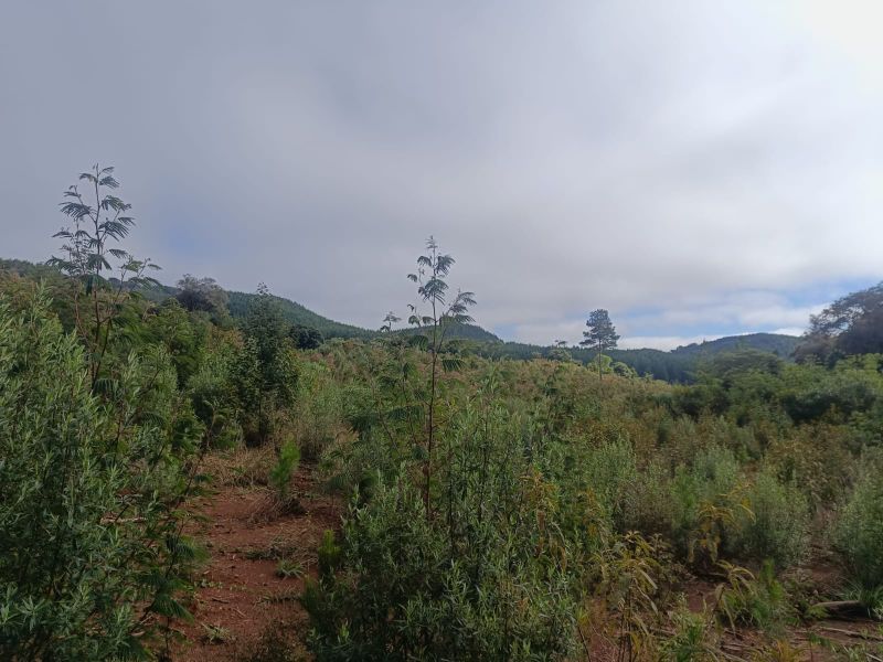 Terreno em Vargem Bonita e Ponte Serrada, localizado em Vargem Bonita - SC