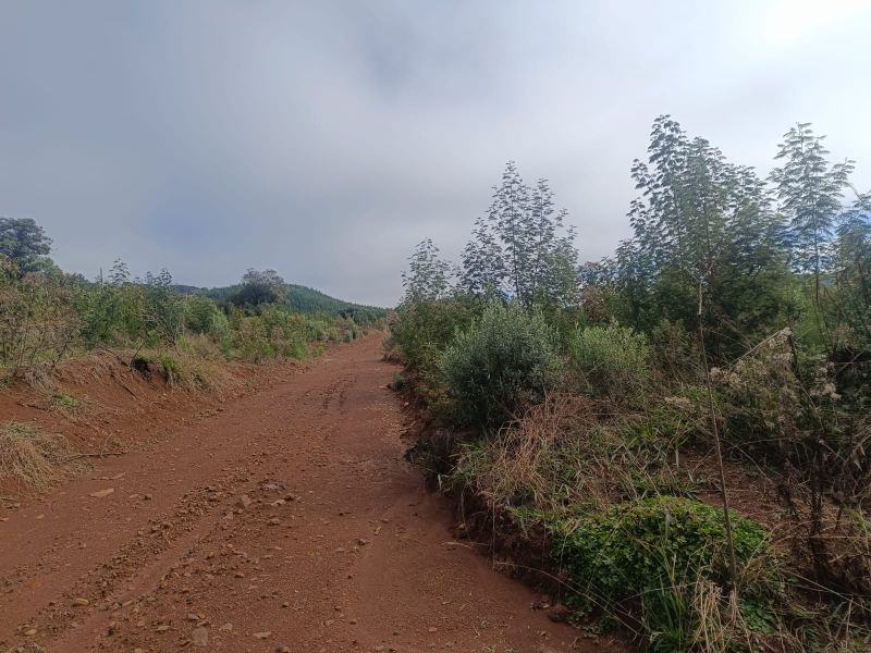 Terreno em Vargem Bonita e Ponte Serrada, localizado em Vargem Bonita - SC