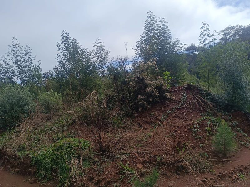 Terreno em Vargem Bonita e Ponte Serrada, localizado em Vargem Bonita - SC