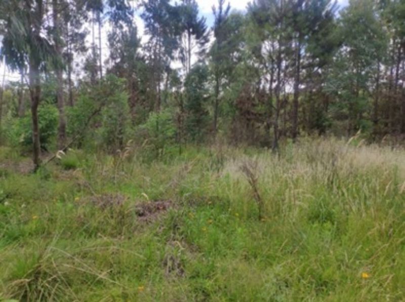 Terreno com 62.914,21m²  em Lages/SC, localizado em Lages - SC