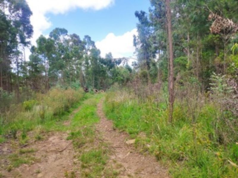 Terreno com 62.914,21m²  em Lages/SC, localizado em Lages - SC