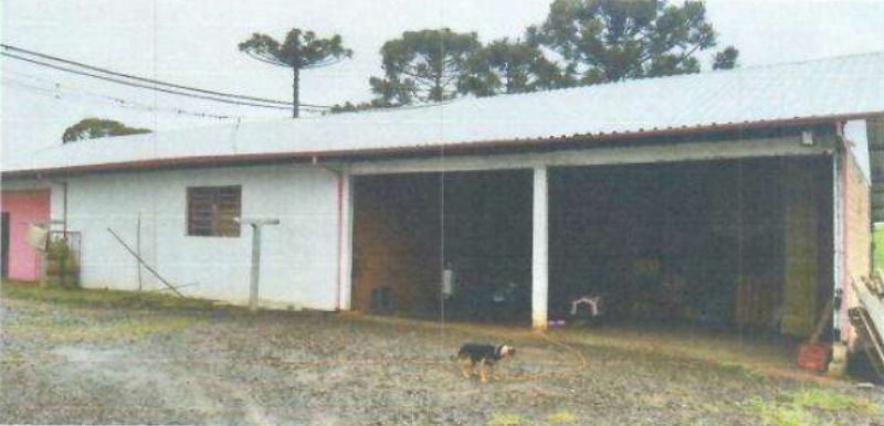 Áreas Rurais com 126.990m², localizado em Caçador - SC